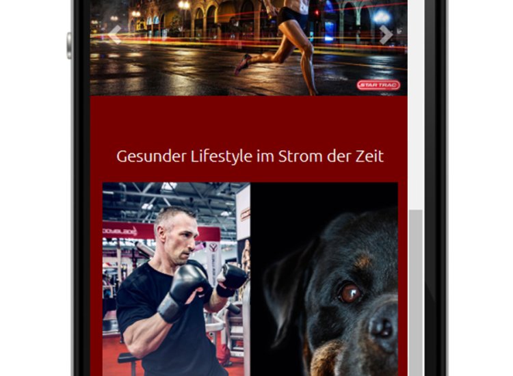 Ems-Fitness Webseite